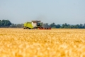 На неокупованій території Донеччини обмолотили 70% площ зернових