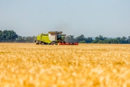 Погода в Україні: сильна спека до 37°С, дощ можливий лише в західних областях