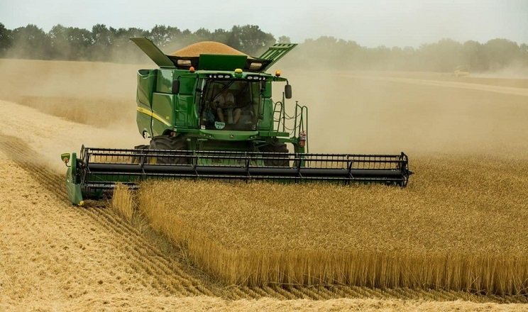 «Астарта» почала жнива пшениці та ріпаку на Полтавщині
