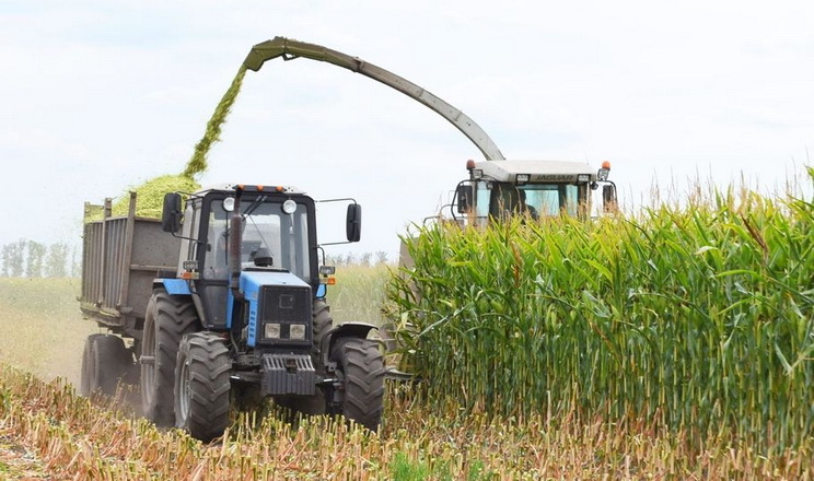 «Астарта Прихоролля» закладає кукурудзяний силос для молочних ферм