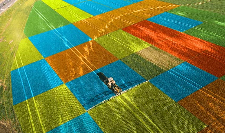 Научный подход разработки адаптивно-ландшафтной системы земледелия. Реферат. Сел