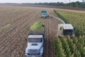 Які агрегати є оптимальними для ґрунтообробітку після силосної кукурудзи