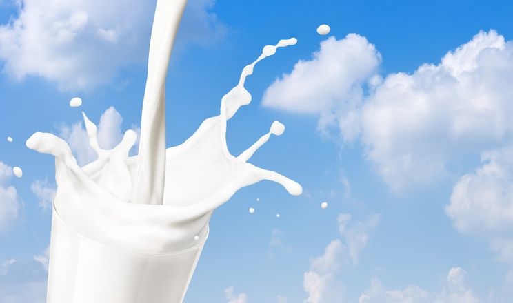 Міжнародні ціни на молоко продовжують знижуватися