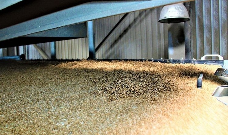 Насіннєві лінії «Астарти» заготовили 4350 тонн насіння озимої пшениці