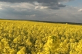 Погода в Україні: без опадів на більшості територій