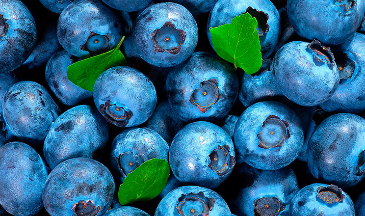 Основна ціль — це отримання прибутку, і щоб її досягнути, потрібно виростити якісний урожай