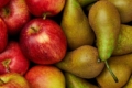 Європейські запаси яблук на 6% нижчі, ніж у 2022 році