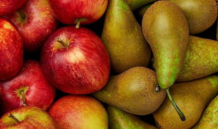 У ЄС прогнозують більший урожай яблук та груш