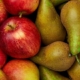 Світове споживання яблук та груш зменшується