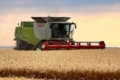 Найвища урожайність зернових та зернобобових – на Івано-Франківщині