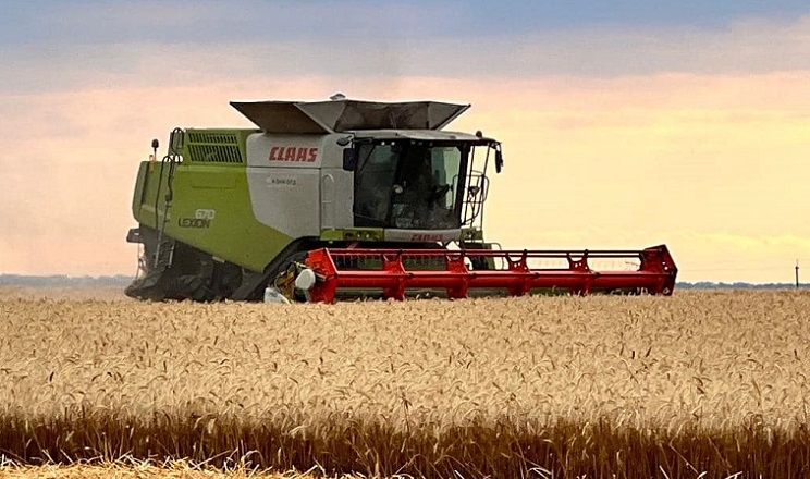 Найвища урожайність зернових та зернобобових – на Івано-Франківщині