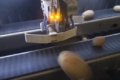 Оптичний сортувальник розрізняє розміри та дефекти картоплі