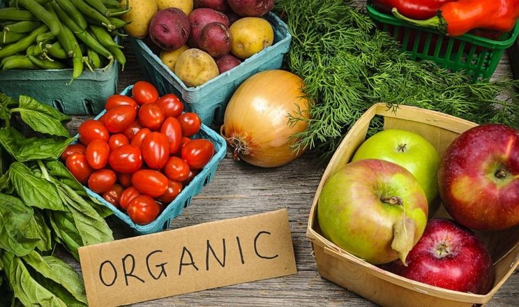 У 2022 році продаж органічних фруктів та овочів зріс на 37%<br>