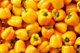 Нідерланди розпочали сезон тепличних овочів із аномально високих цін