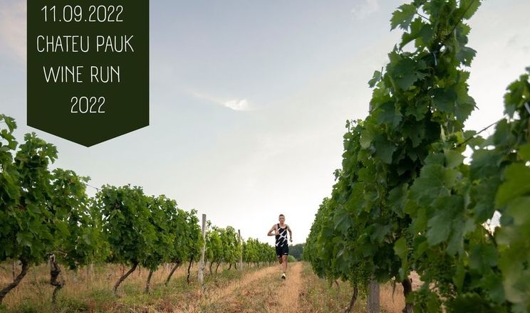 На Мукачівщині влаштовують забіг виноградниками