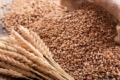 Ціни на пшеницю знижуються під тиском стриманого попиту