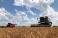 Жнива-2022: аграрії намолотили майже 26 млн тонн зерна