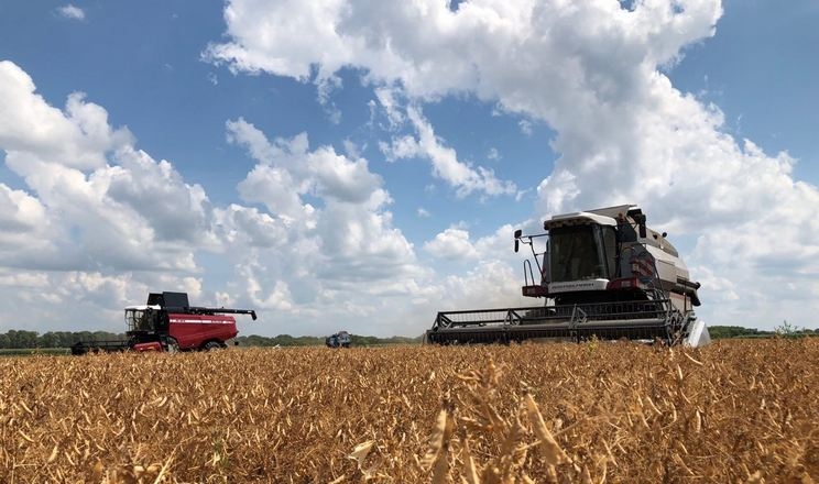 На Вінниччині намолотили 2,4 млн тонн зерна: урожайність вища від минулорічної