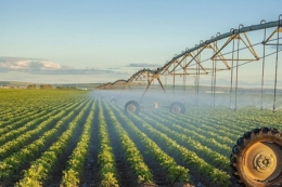 Набрав чинності закон, що вдосконалює управління державними меліоративними системами