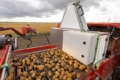У Нідерландах урожай насіннєвої картоплі визначають по фото