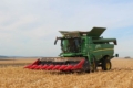 АФ «Ольгопіль» завершує збирання кукурудзи: названа врожайність