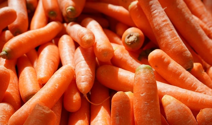 Ціни на моркву в ЄС знижуються 