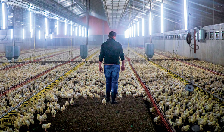 Фермери, що керуються у своїй роботі сучасними та інноваційними підходами, завжди знаходять унікальний шлях для покращення показників