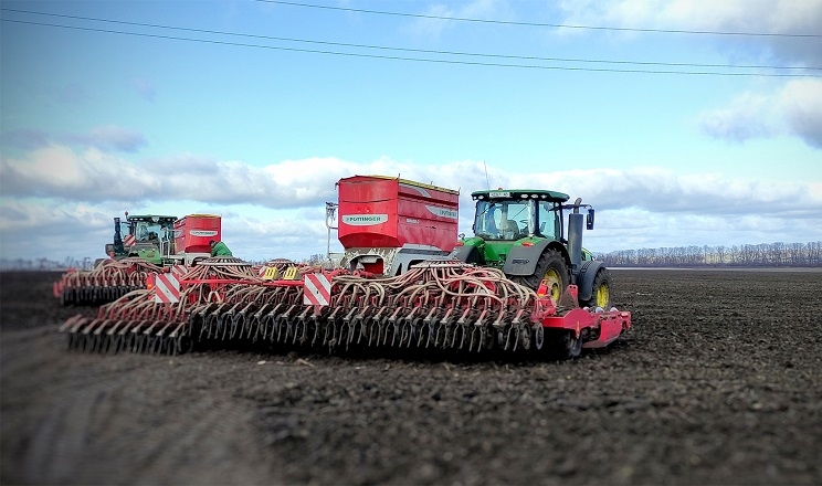 Посівні площі під озимою пшеницею на Київщині на 23% перевищують планові
