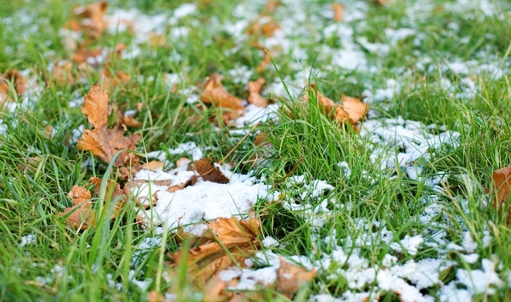 Погода в Україні: подекуди невеликий сніг, місцями з дощем