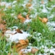 Погода в Україні: подекуди невеликий сніг, місцями з дощем