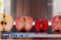 У Китаї вивели нові сорти яблук з червоним м’якушем