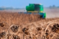 Урожай-2023: зібрали понад 37 млн тонн зерна