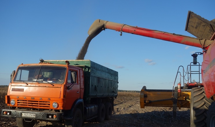 USDA покращив прогнози щодо виробництва українського зерна