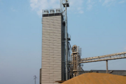 На форумі «Власний Елеватор» розкажуть, як зберегти якість зерна тривалий час
