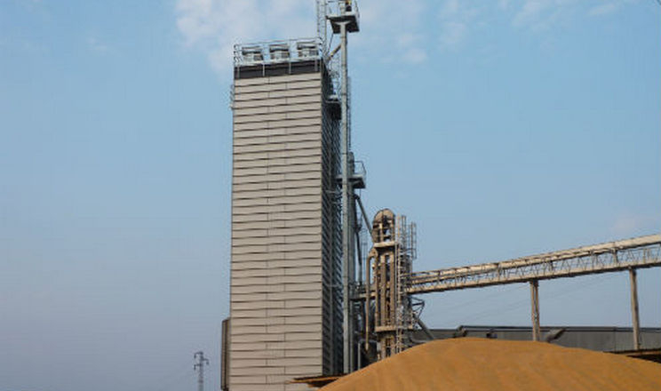 На форумі «Власний Елеватор» розкажуть, як зберегти якість зерна тривалий час