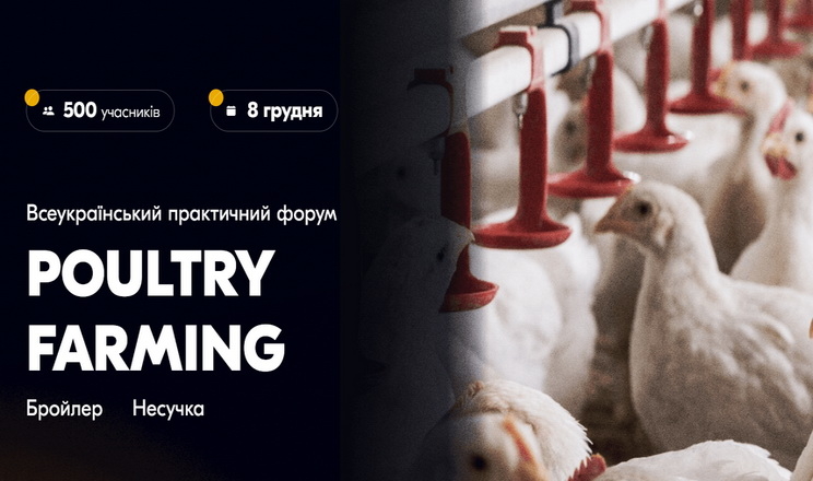 Птахівники зберуться у Львові на форумі Poultry Farming