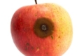 У Польщі виявили нову причину гіркої гнилі яблук