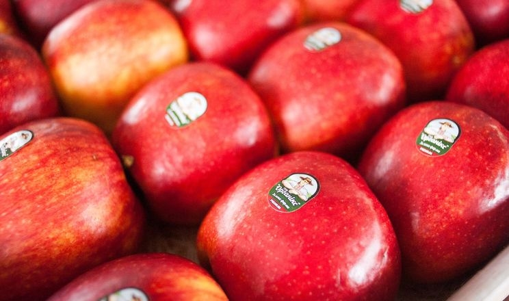 Green Farm з Вінниччини імпортувала яблука до Великобританії