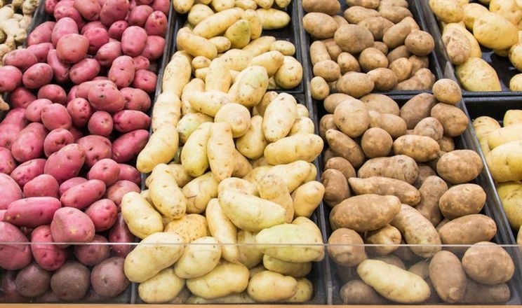 Експорт української картоплі до ЄС – можливий, але не скоро, – експерт