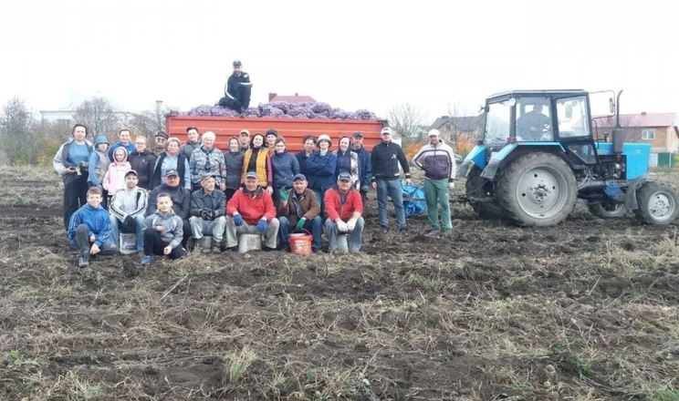 На Тернопільщині для ЗСУ толокою викопали фермерську картоплю 
