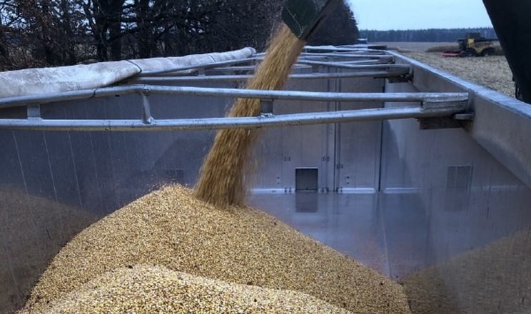 Ціни на кукурудзу в портах знизилися на 3-5$/т