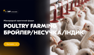 Міжнародний практичний форум POULTRY FARMING: бройлер / несучка / індик