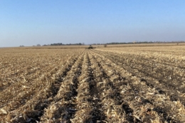 Перехід на ресурсоощадні технології варто починати господарствам і з Західної України – агроном