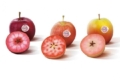 Яблука з червоним м’якушем вийдуть на ринок Європи