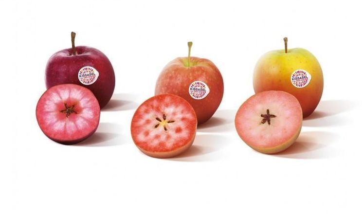 Яблука з червоним м’якушем вийдуть на ринок Європи