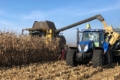 Урожайність кукурудзи в Прилуцькому кластері ІМК сягає 11 т/га