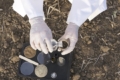 МХП має намір здійснити агрохіманаліз ґрунту на всіх своїх площах за 3-4 роки