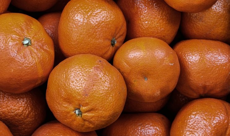 ЄС посилює контроль щодо турецьких лимонів і грейпфрутів
