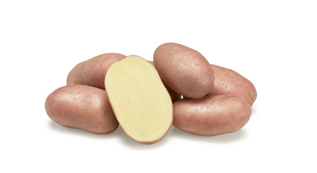 Ранній сорт картоплі передали на сортовипробування