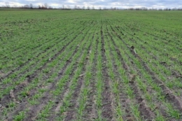 Як будуть систему живлення в ІМК, – досвід